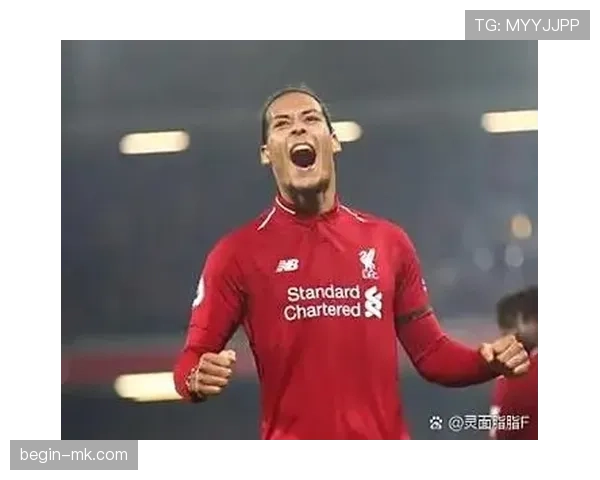 汉堡防线稳固,后防线成为赛季亮点 汉堡防线稳固,后防线成为赛季亮点