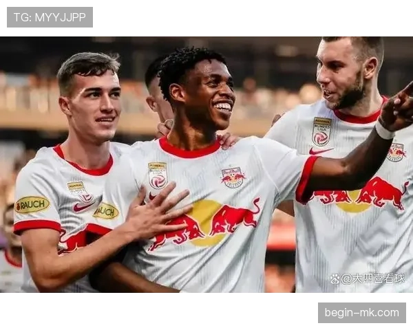 弗赖堡球迷热情助威，助力球队新赛季奋勇