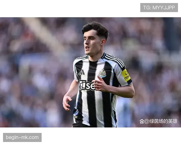 纽卡斯尔联新援加盟点燃球迷热情，下赛季表现备受期待